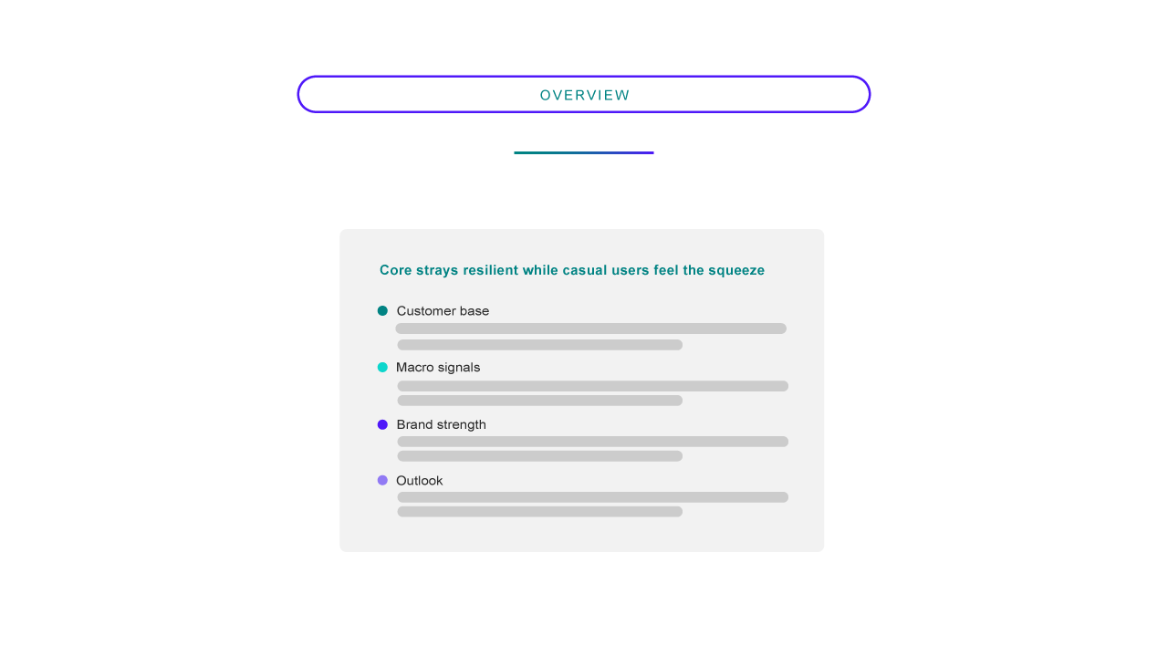company_performance_agent_slide_4